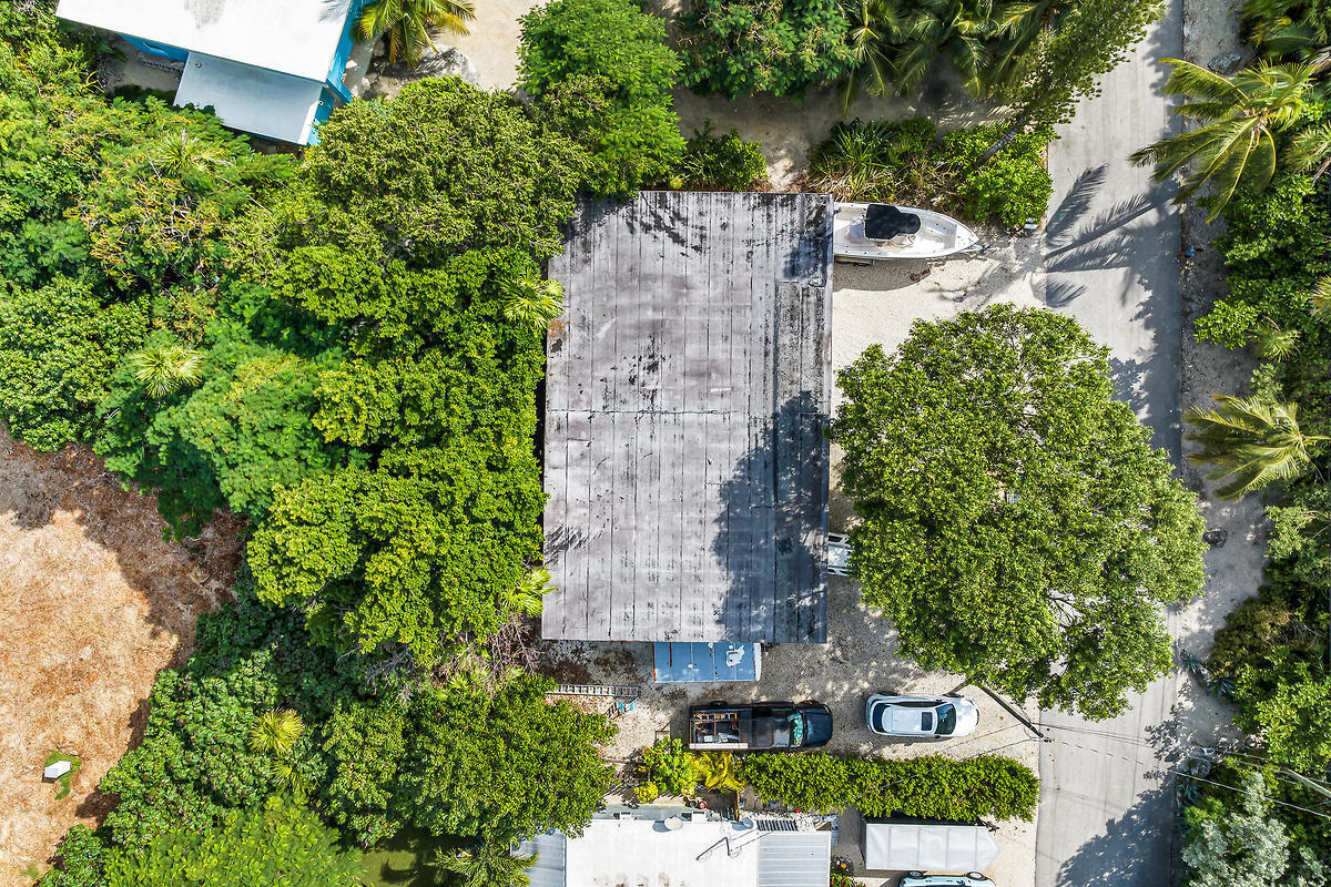 an aerial view of a house with a yard and large trees