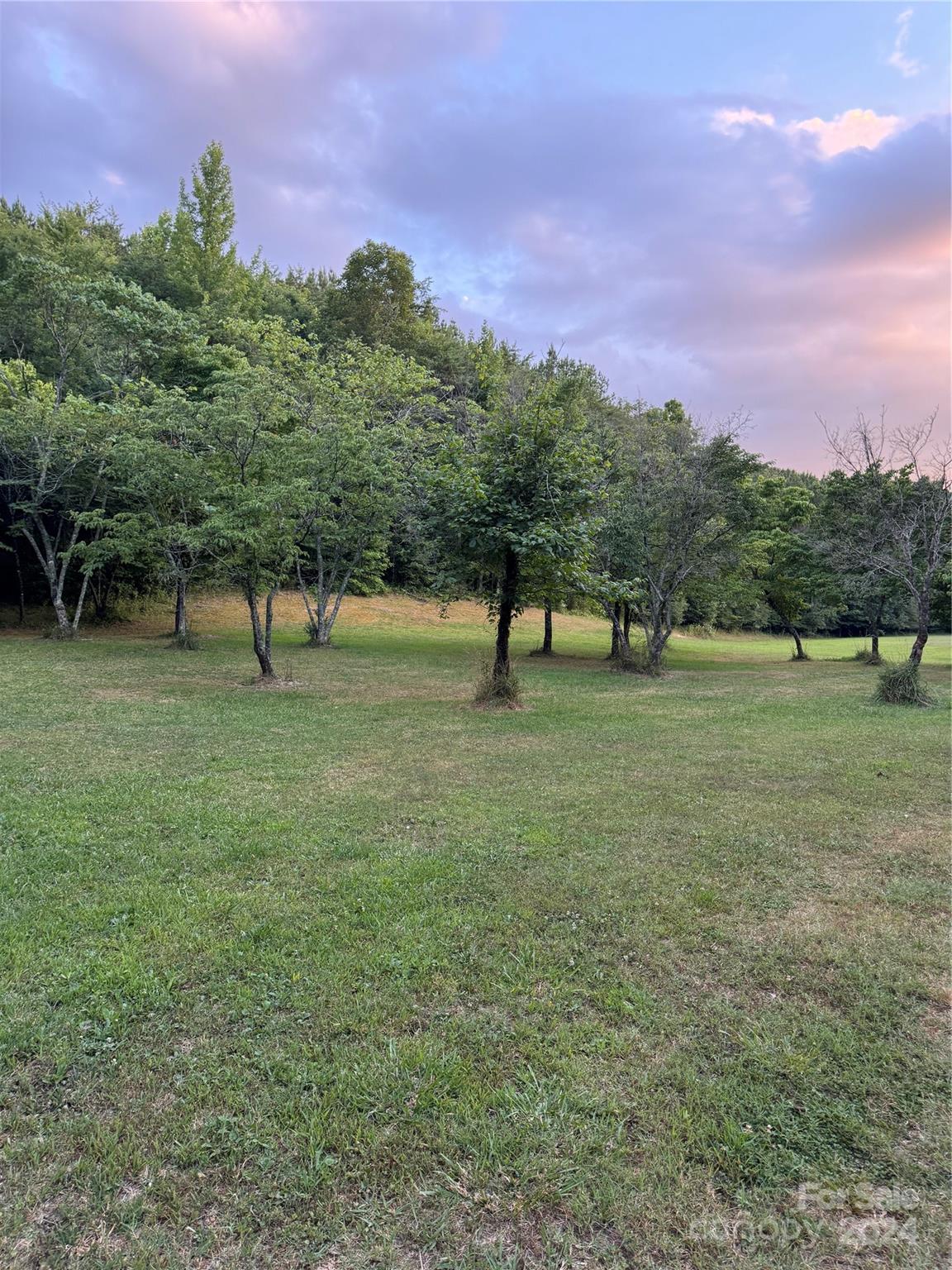 a view of grassy field with trees