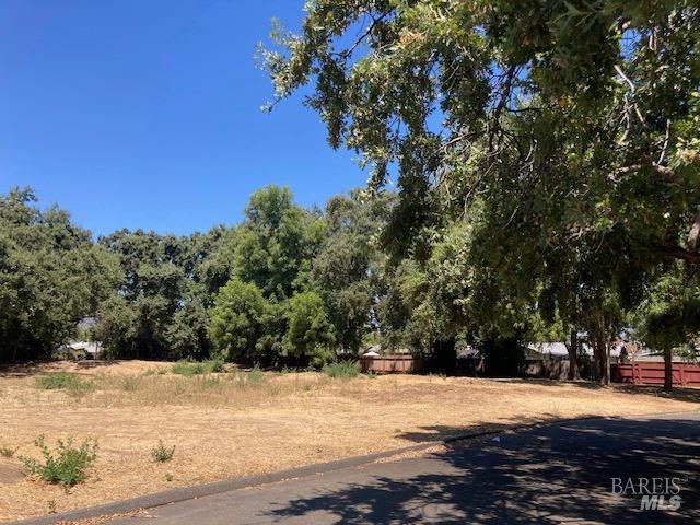 a view of a yard with a tree