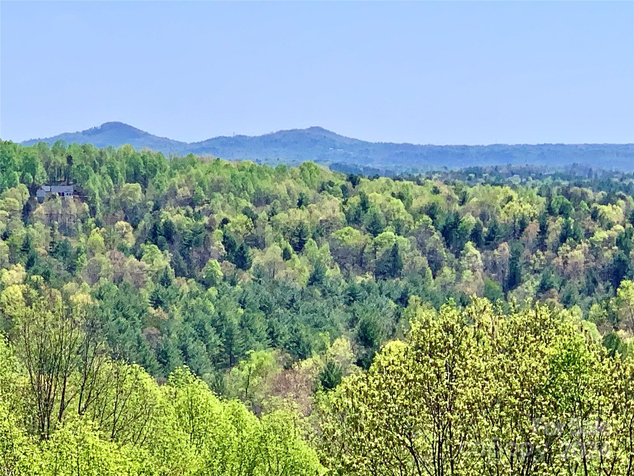 a view of a lush green hillside and a houses