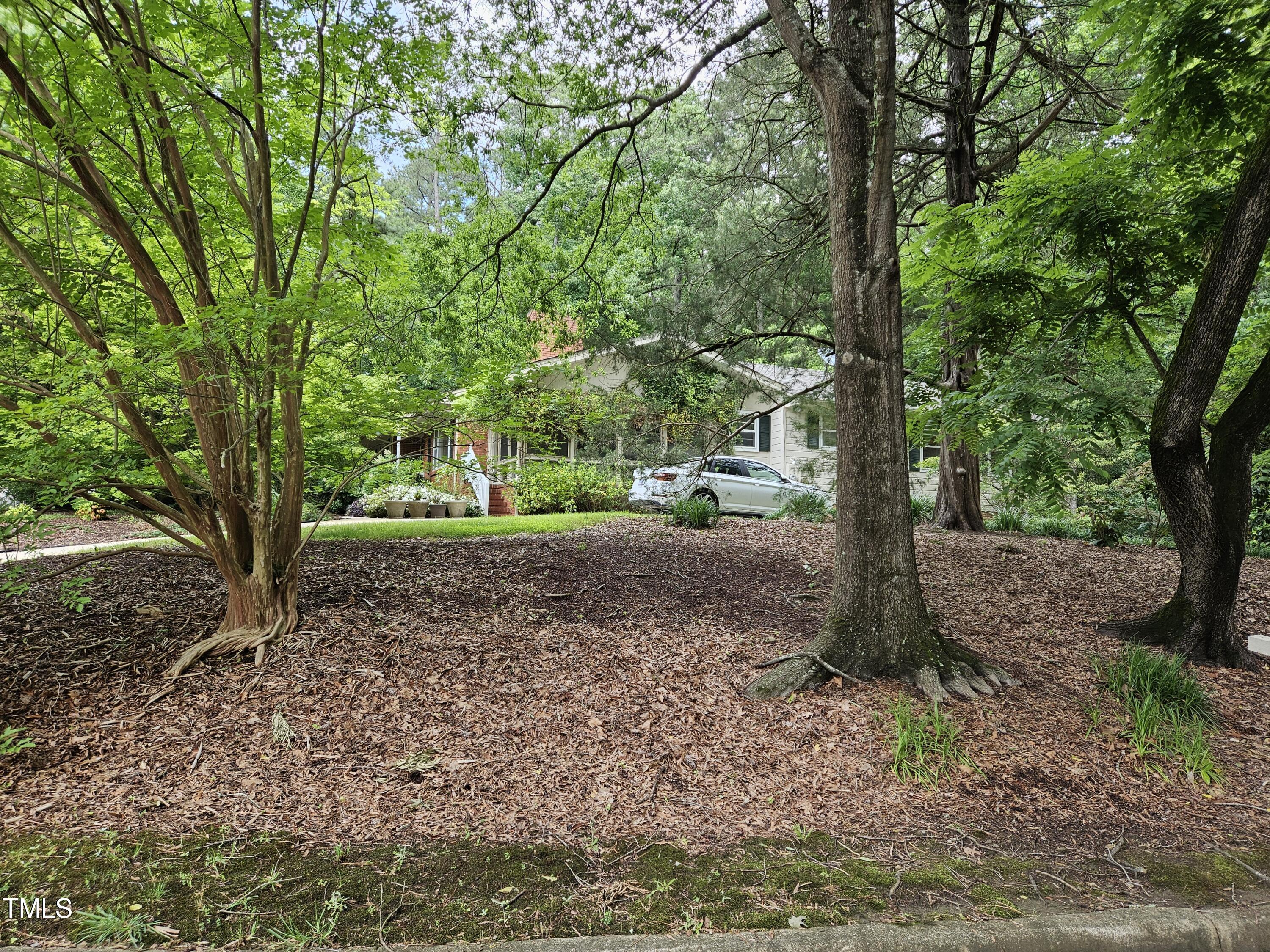 a view of a yard with a tree