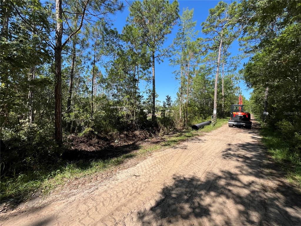 a view of road with trees