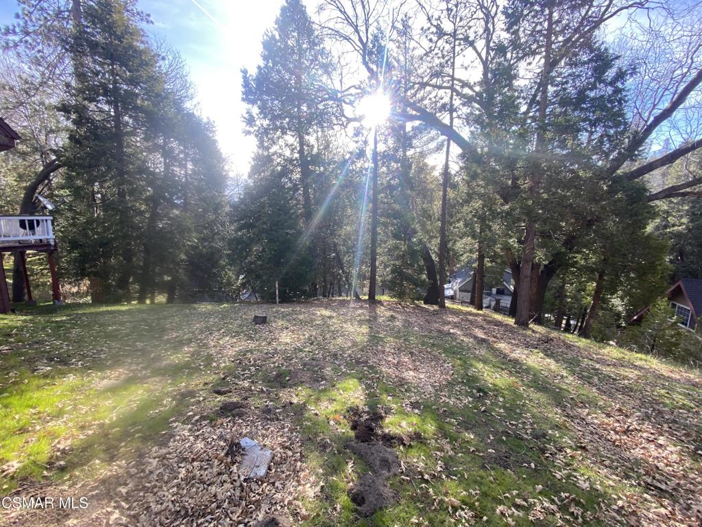 a view of a yard with trees