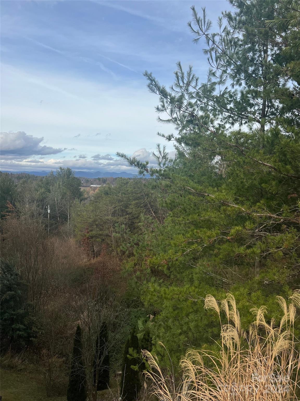 a view of a field with an ocean view