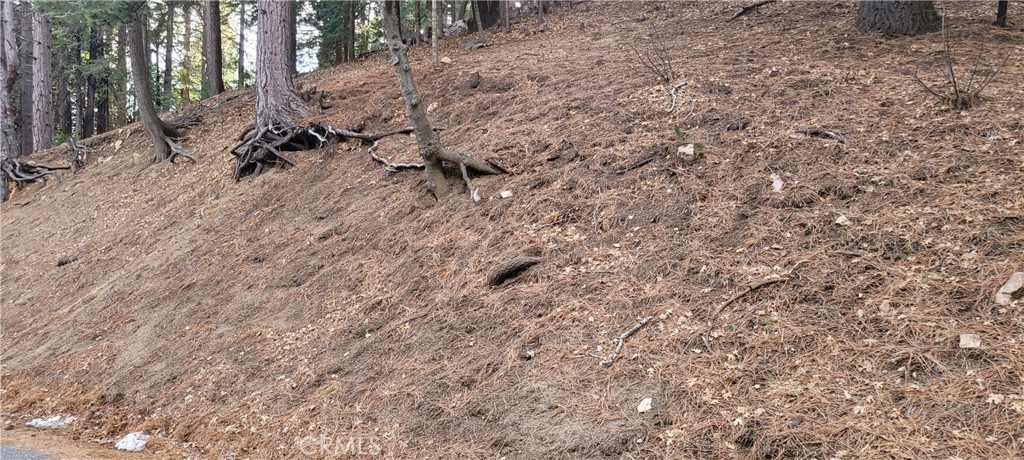 a view of a backyard of the house