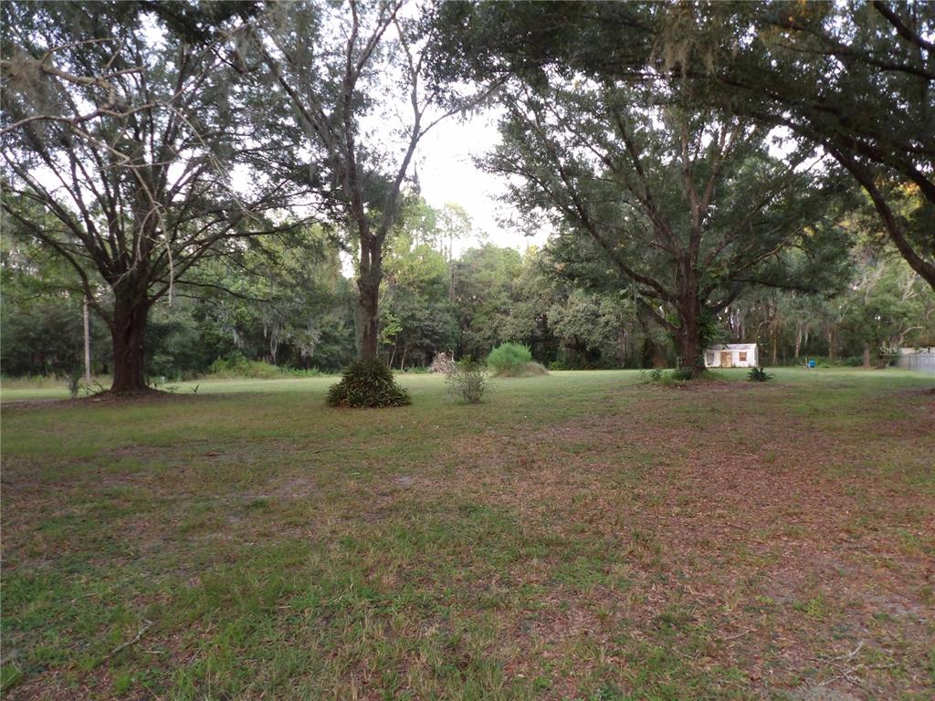 a view of outdoor space with trees