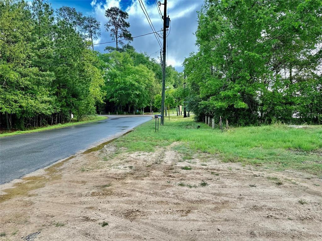 a view of a park with trees