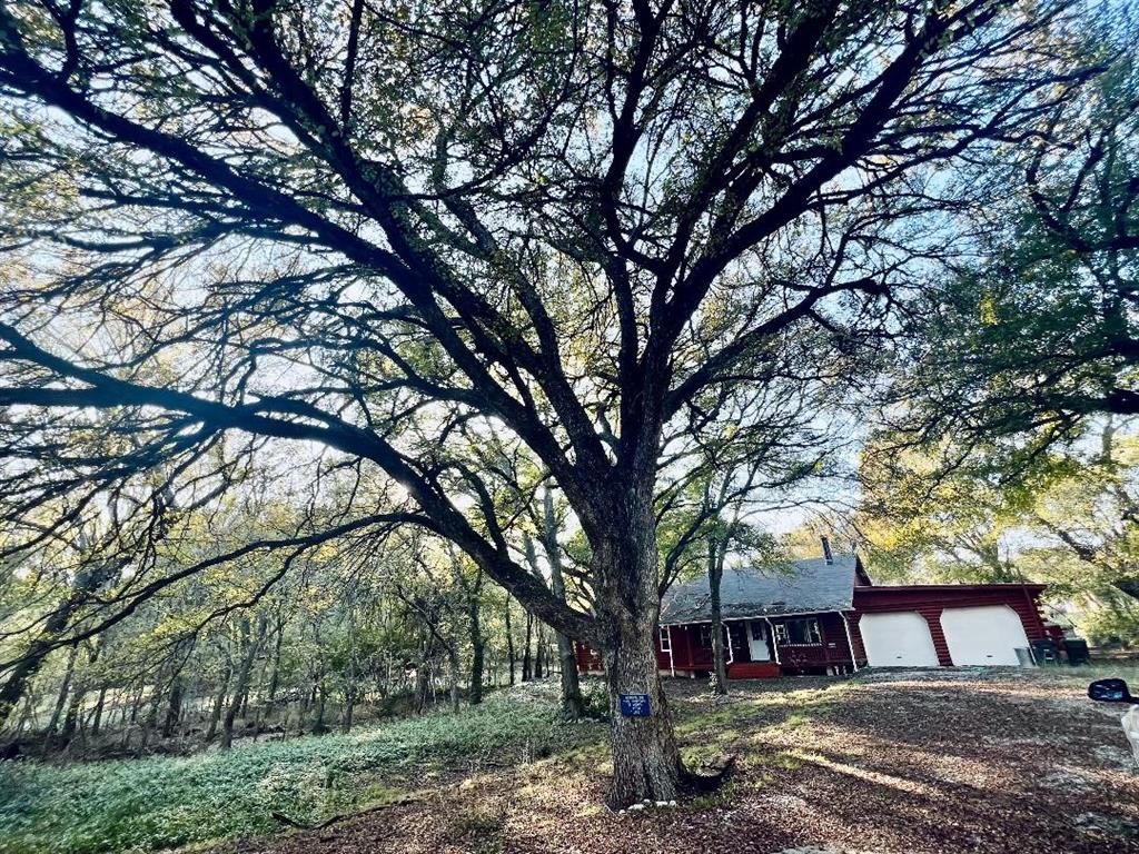 a view of a house with a trees