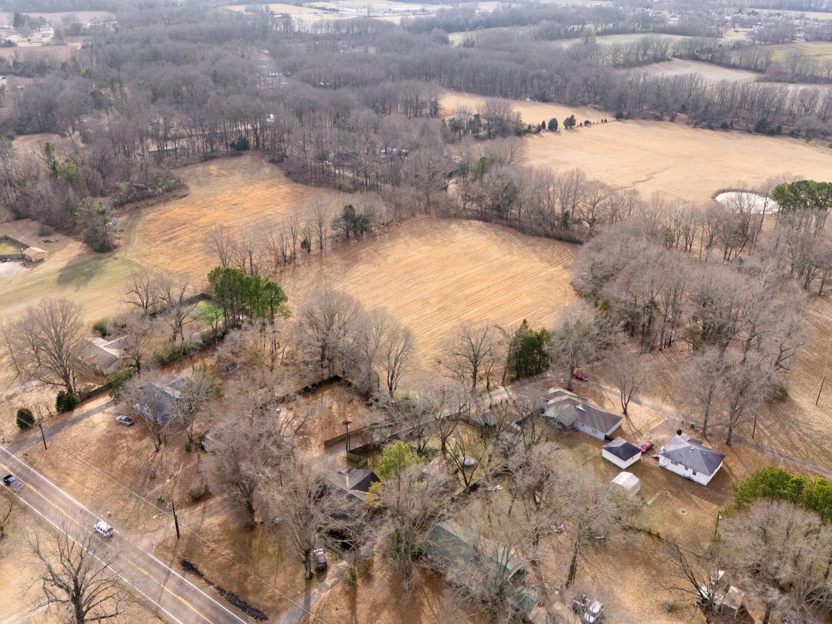 a view of a yard with trees