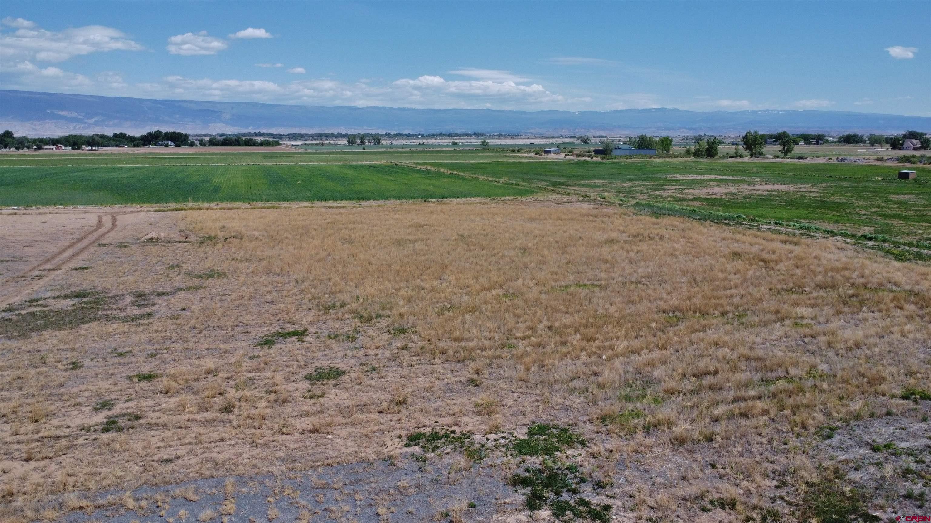 a view of a field with grass and grass