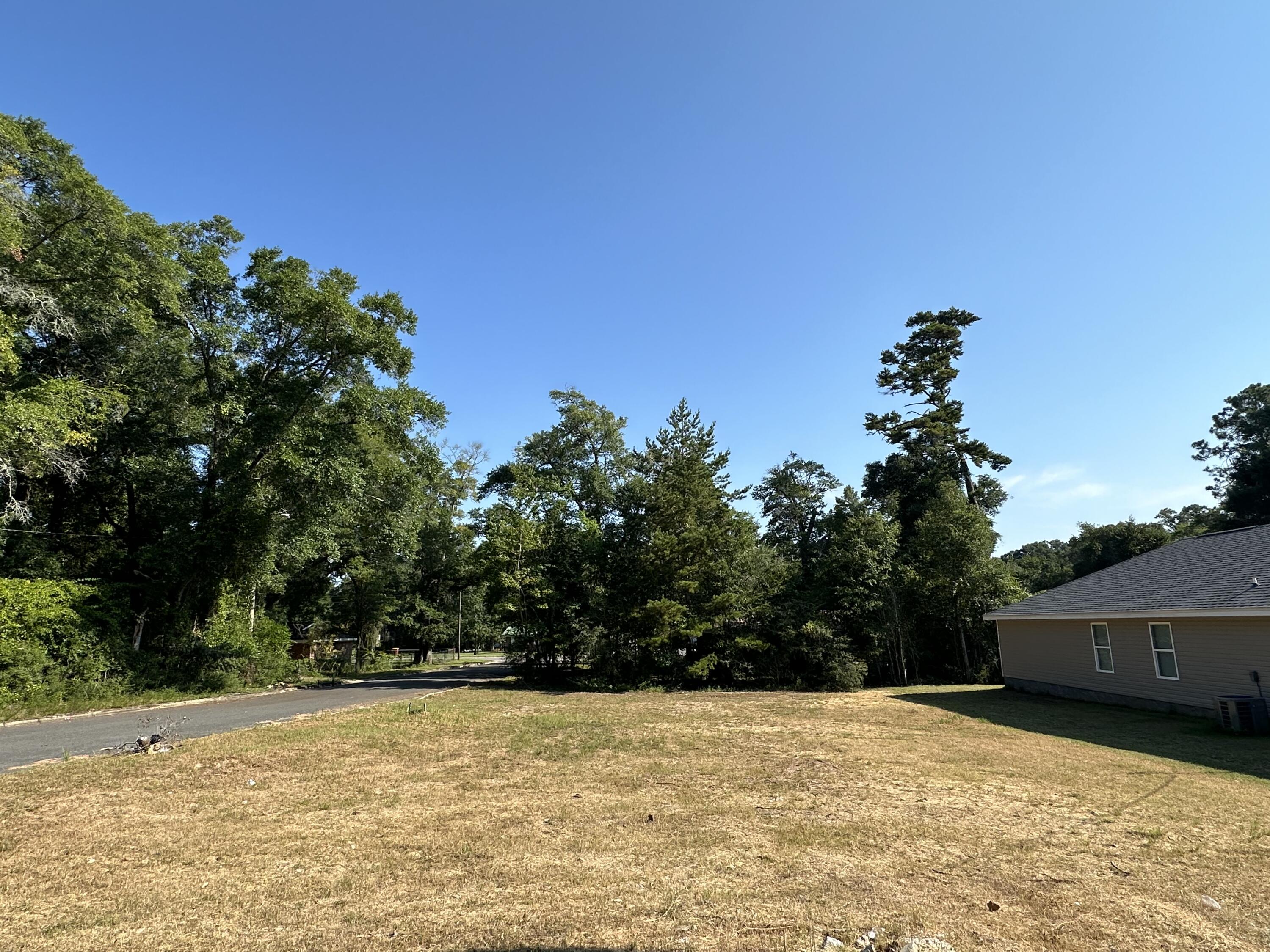 a backyard of a house with lots of green space