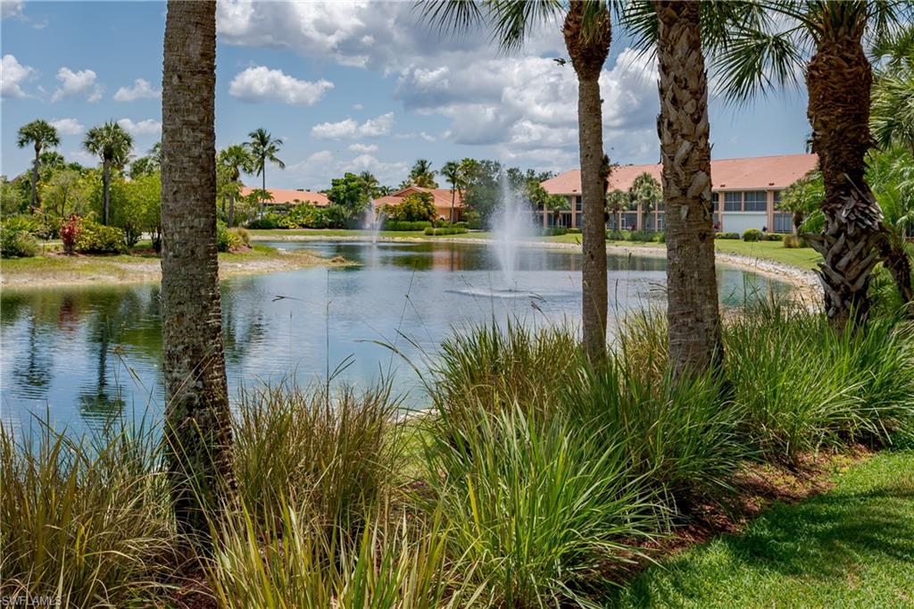 a view of a lake with palm trees