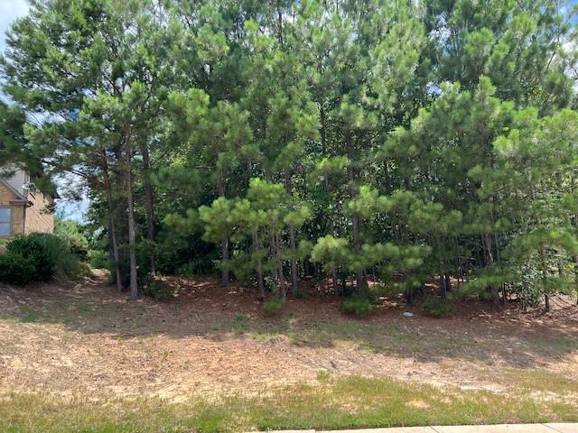 a view of a trees and yard