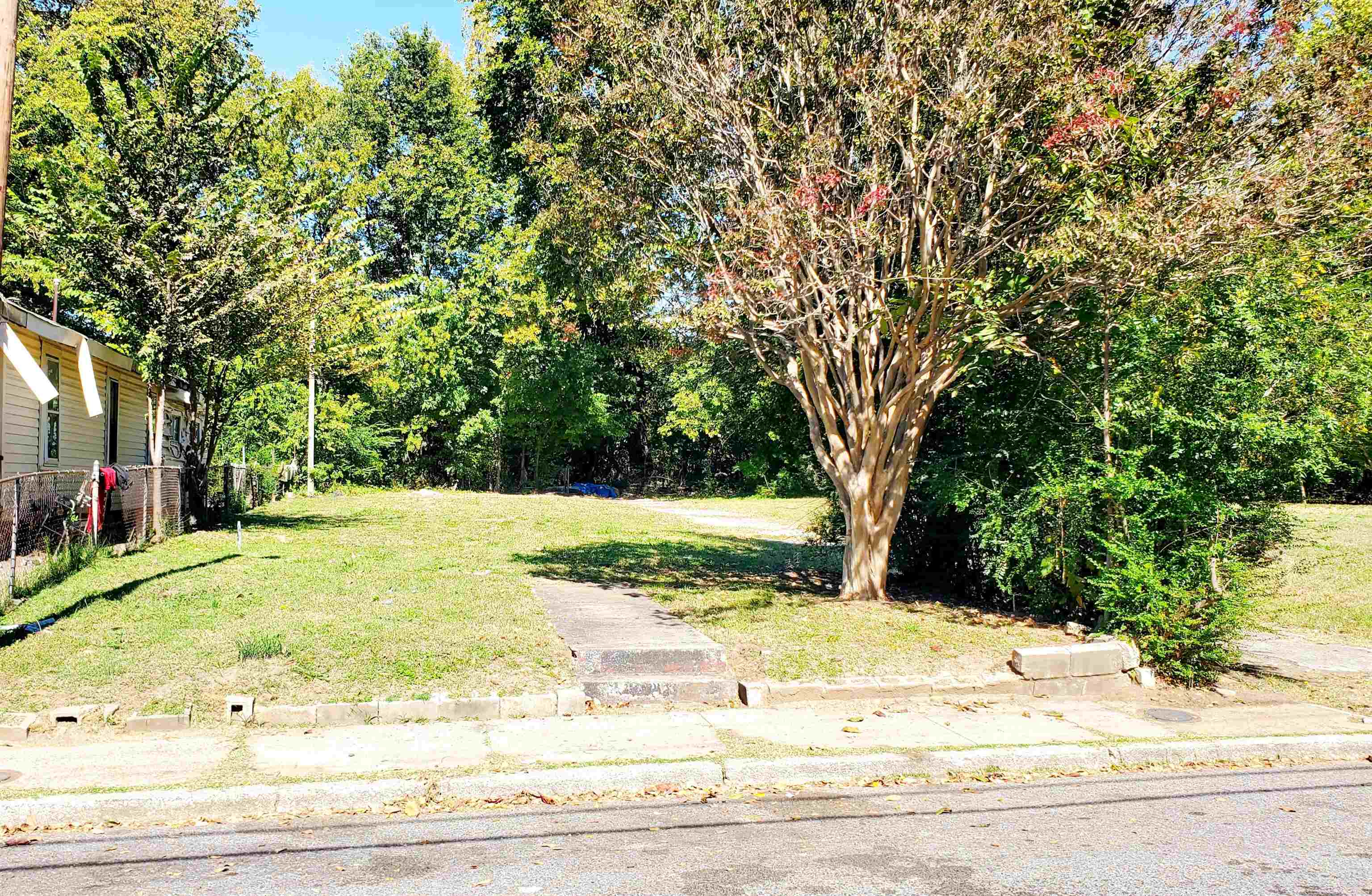 a view of yard with large trees