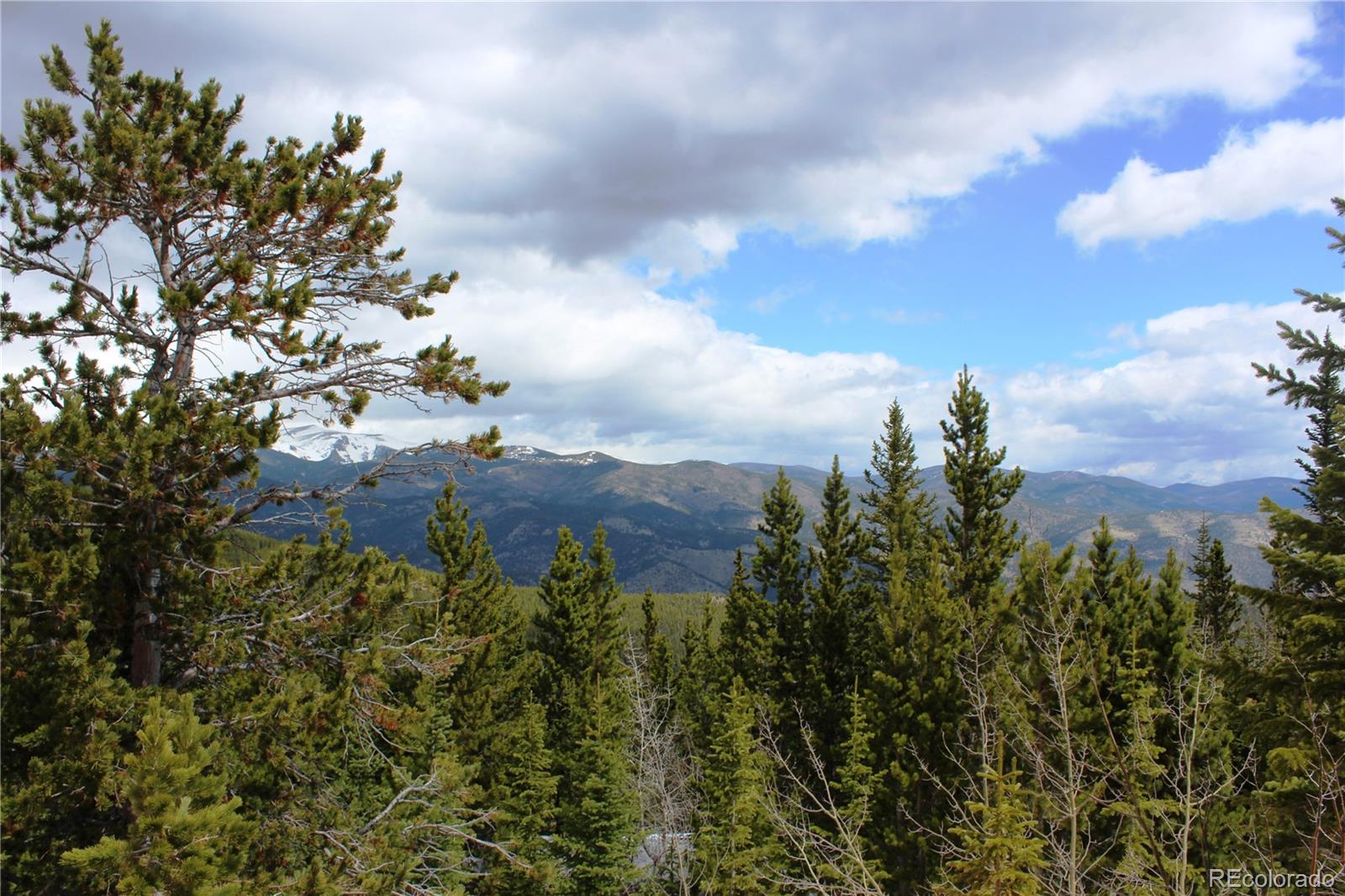 a view of a bunch of trees