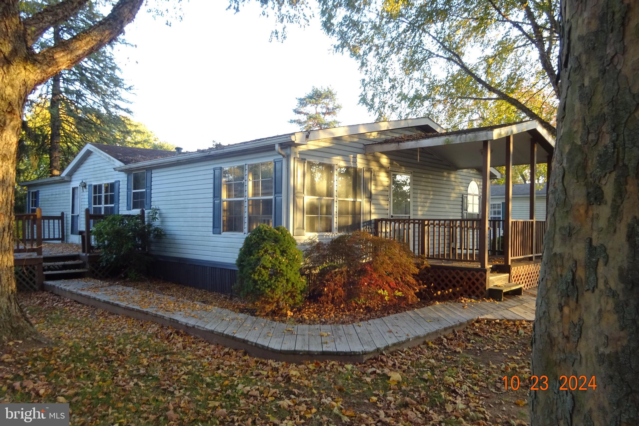 a view of a house with a small yard and a large tree