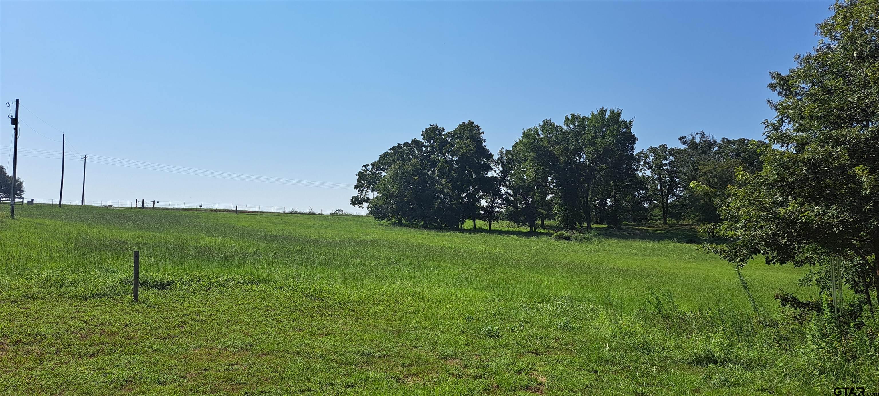 a view of a field of grass and trees