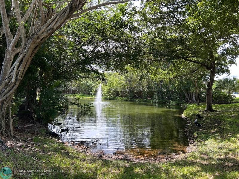 Lagoon with Fountain