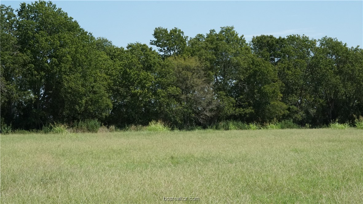 a view of basketball court