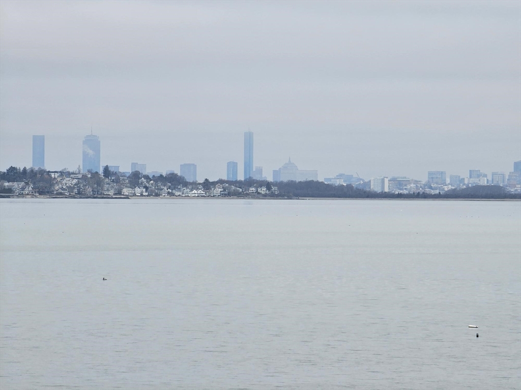 a view of a lake with tall building in the background