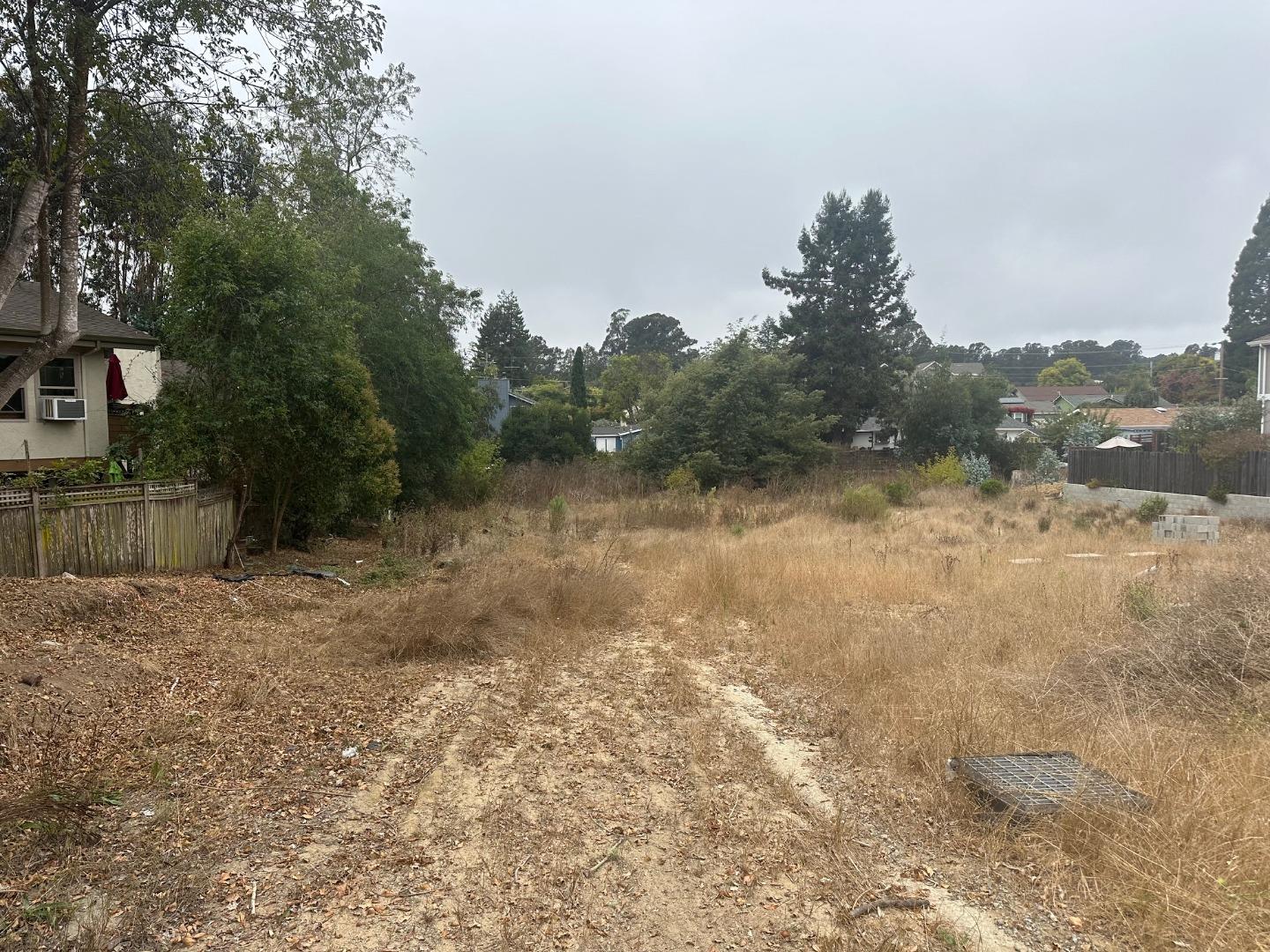 a view of a yard with a tree