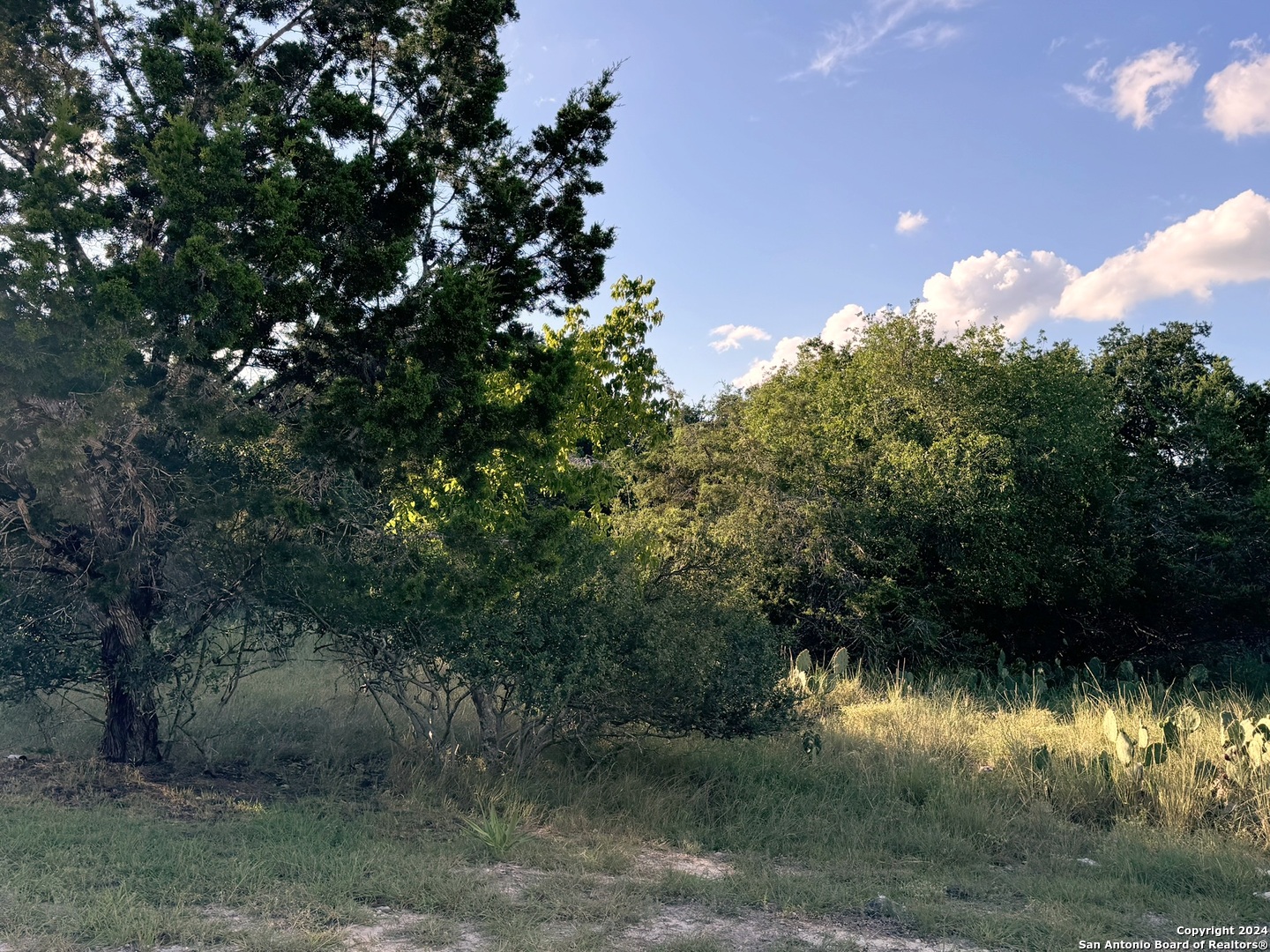 a view of a lake from a yard