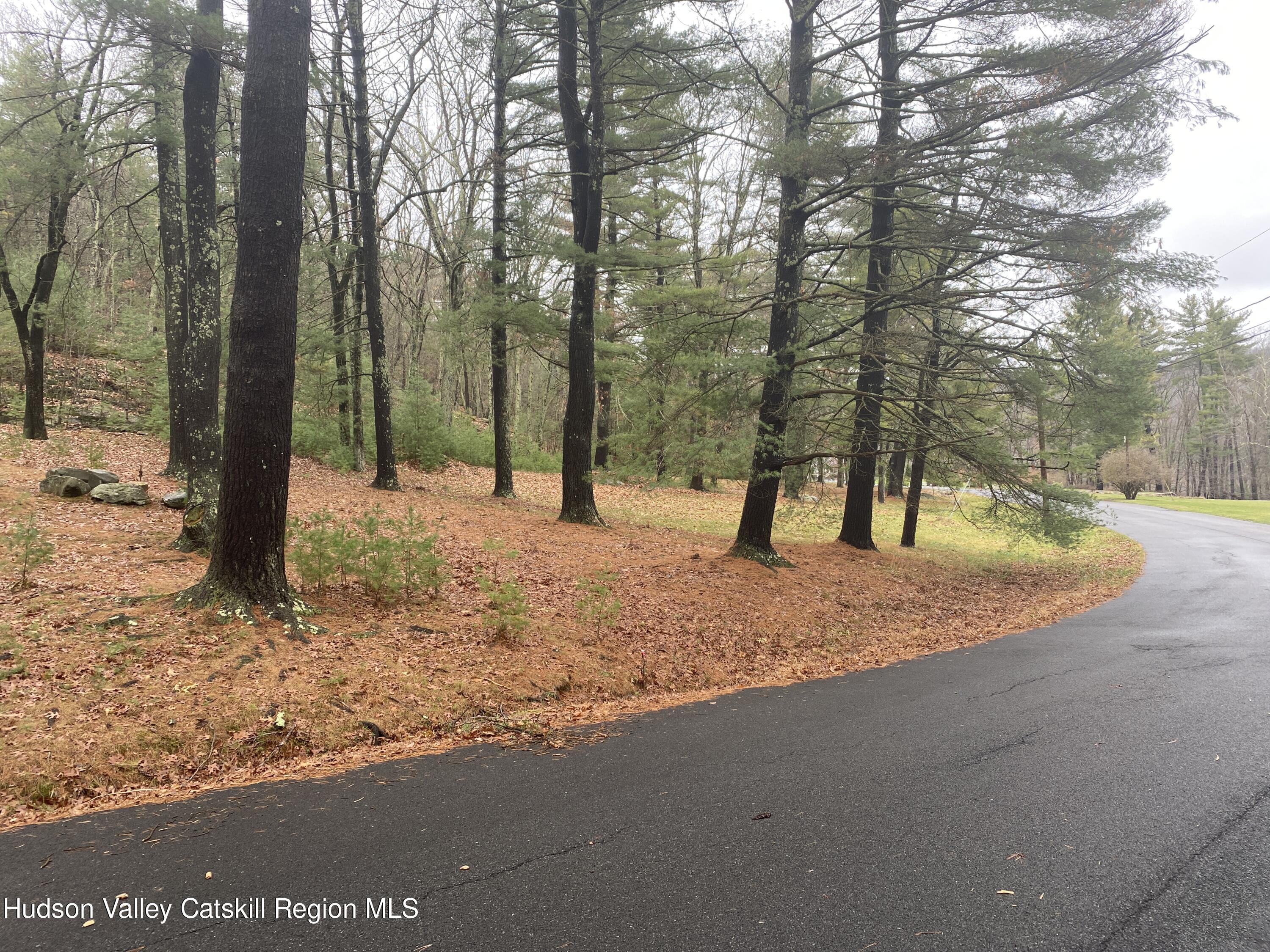 a view of road and trees