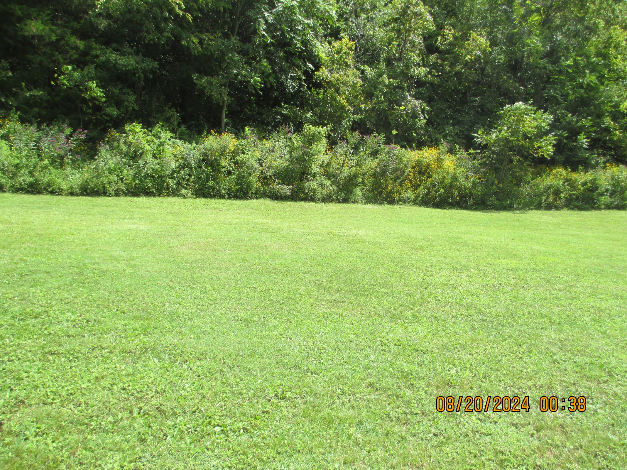 a view of a field with an trees