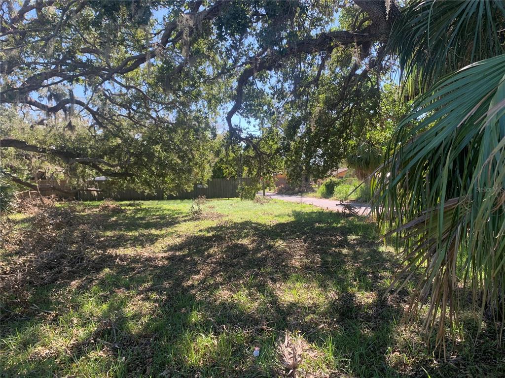 a view of yard with green space