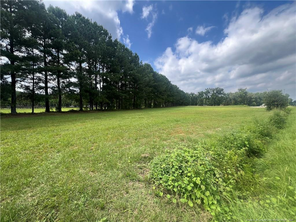 a view of a field of grass and trees