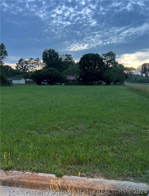 a view of yard with grass and a trees