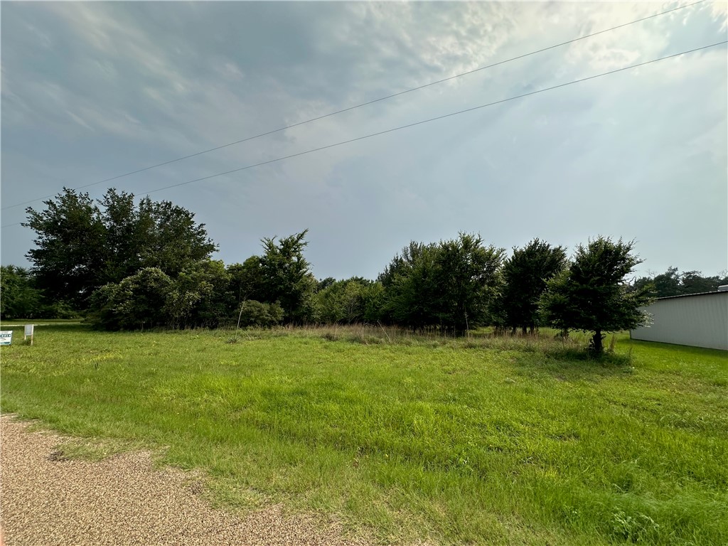 a view of a field with a trees in the background