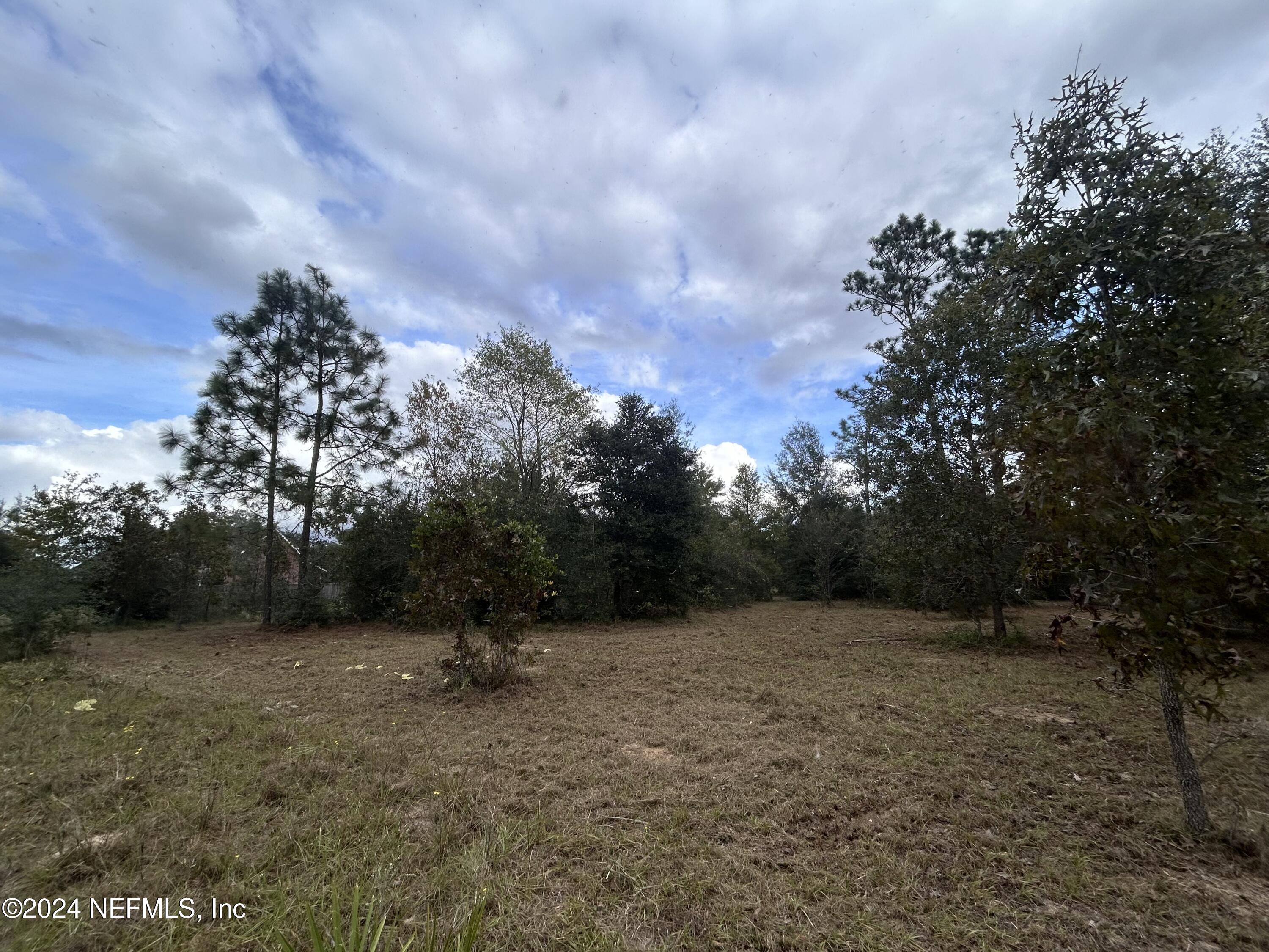 a view of a field with a tree in the background