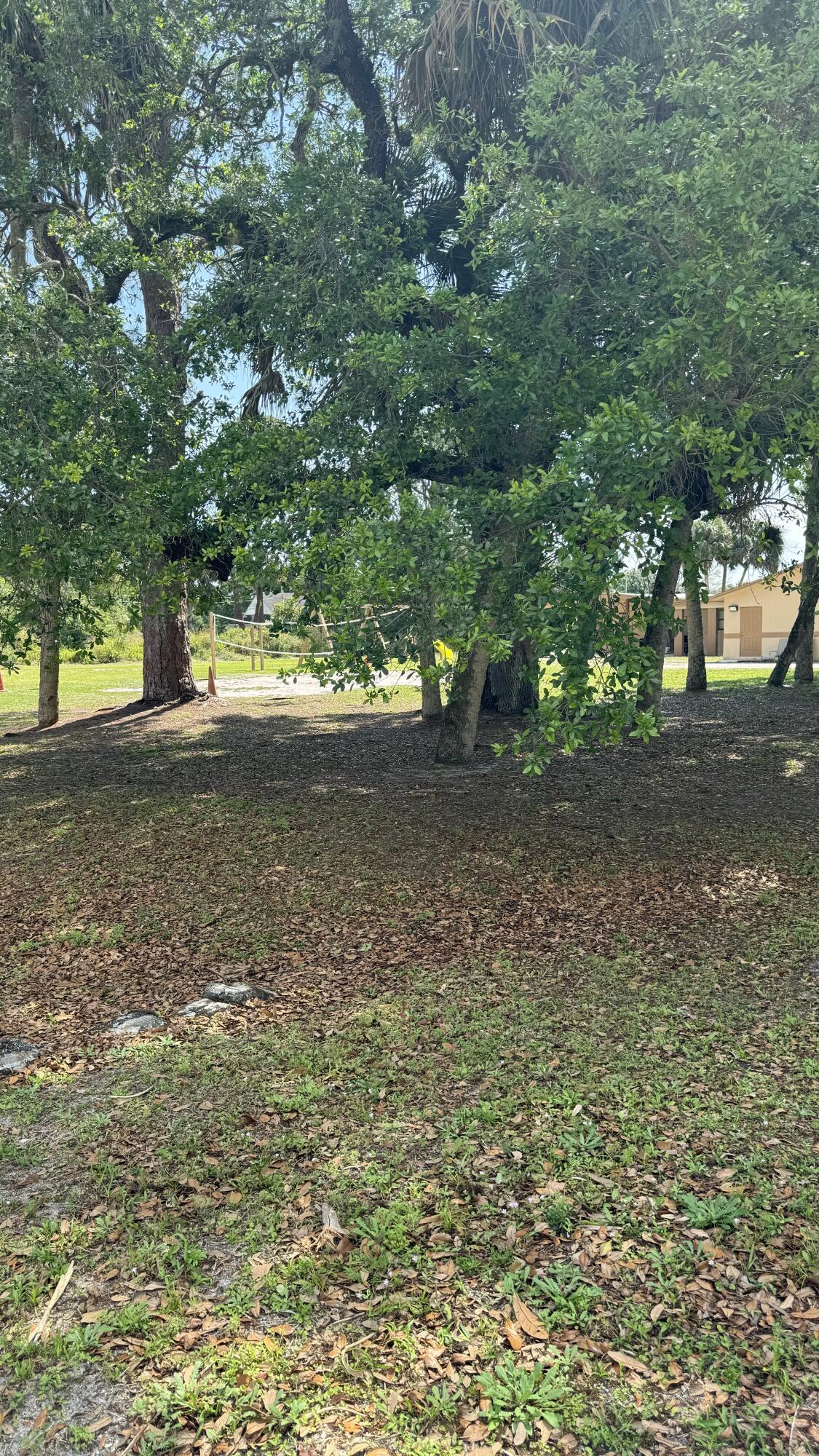 a view of a yard with a tree