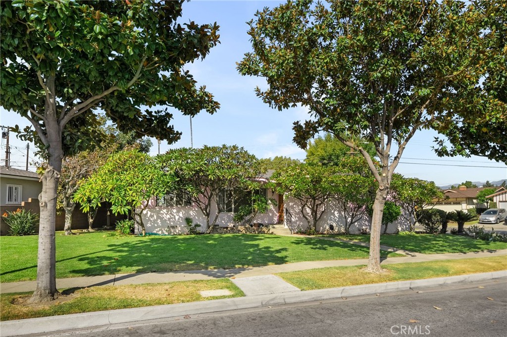 a view of a park with tree s