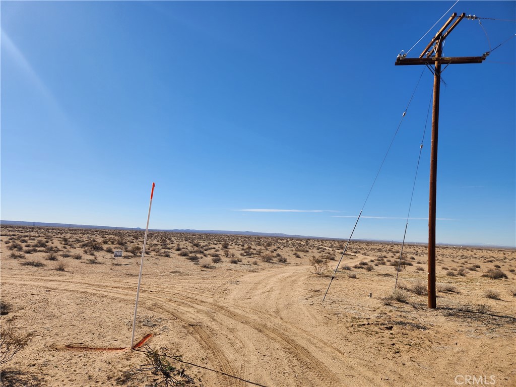 a view of a dry yard