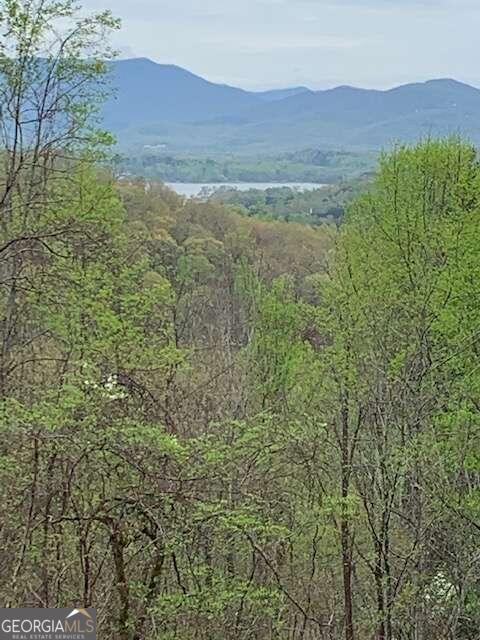 a view of a lush green hillside and a houses