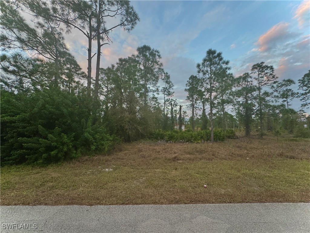 a view of a yard with trees