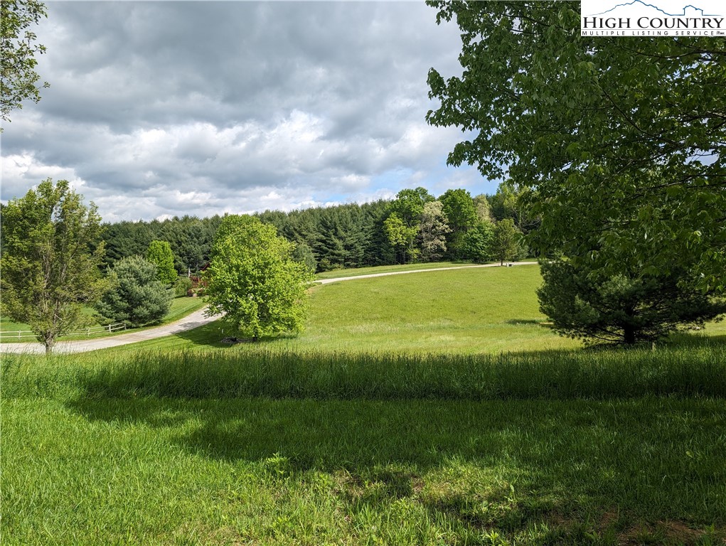 a view of a grassy area with an trees