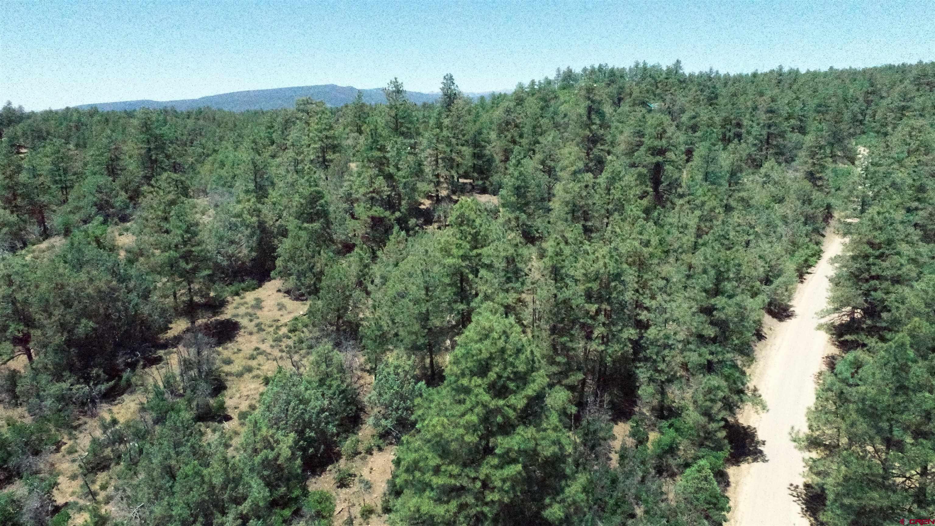 a view of a lots of trees and bushes