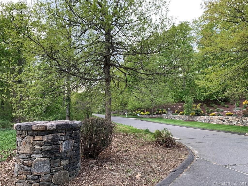 a view of a backyard with trees