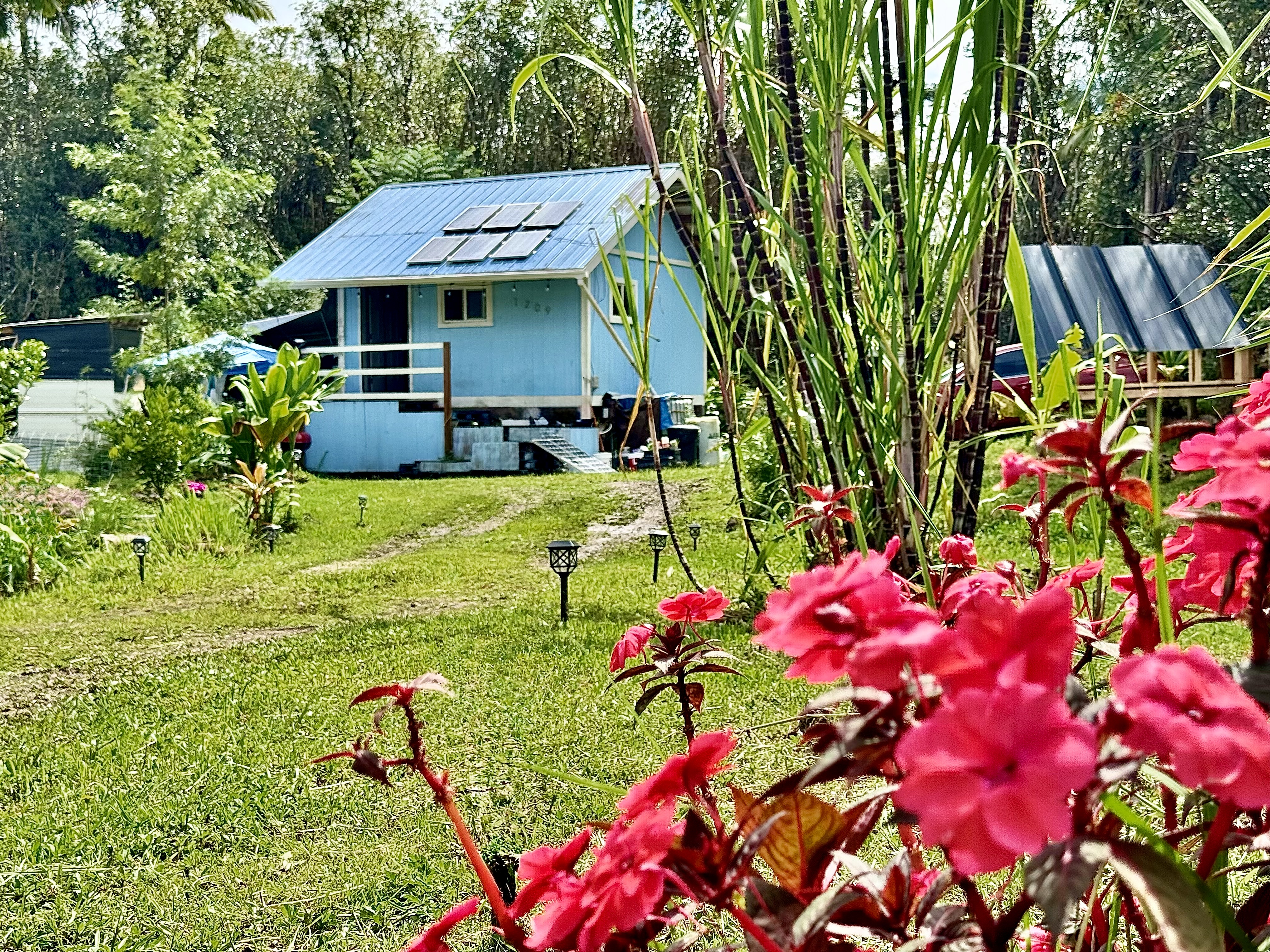 a front view of a house with yard