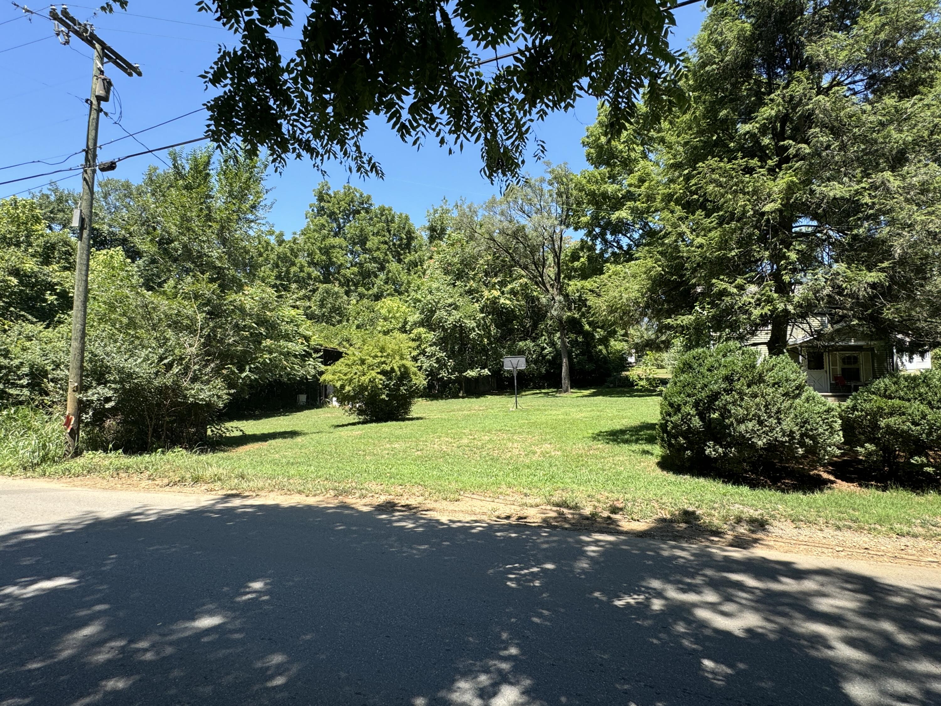 a view of a yard with a tree