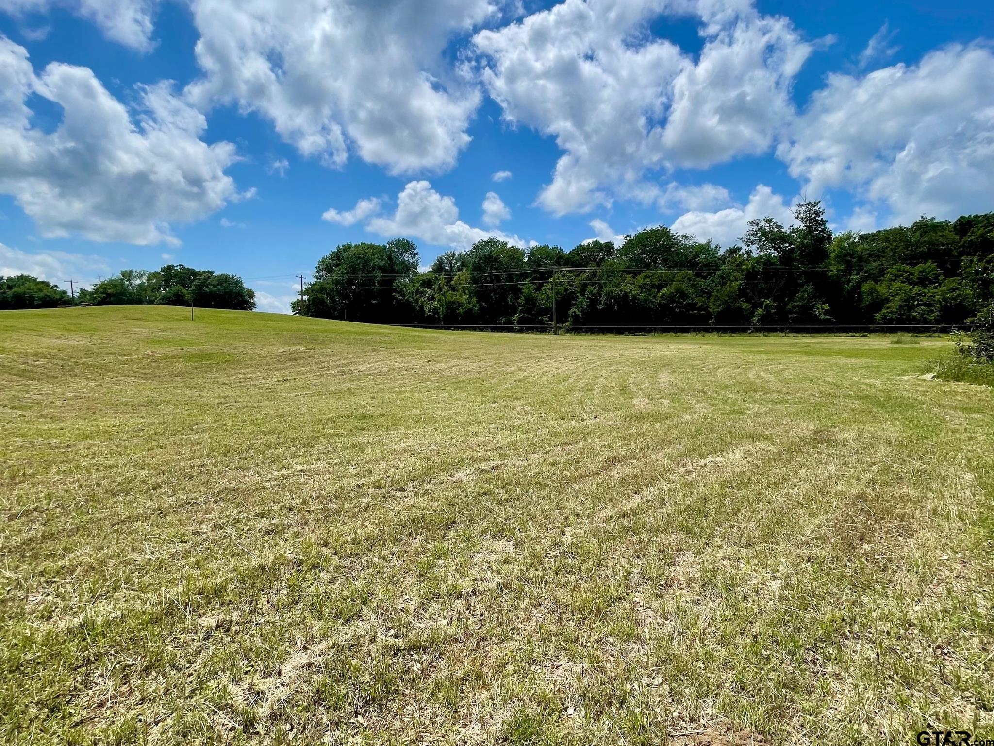 a view of an ocean from a yard