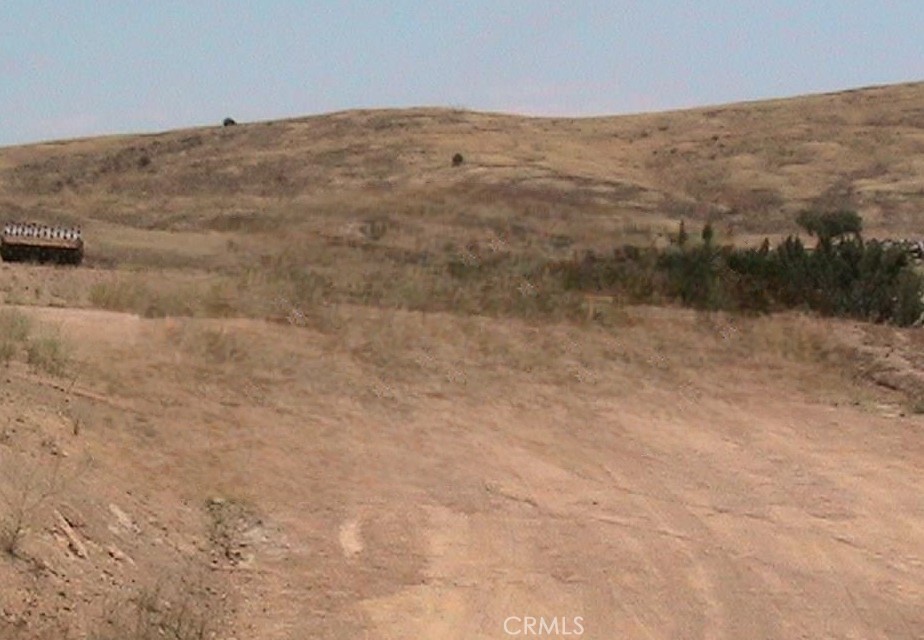 a view of a dry yard