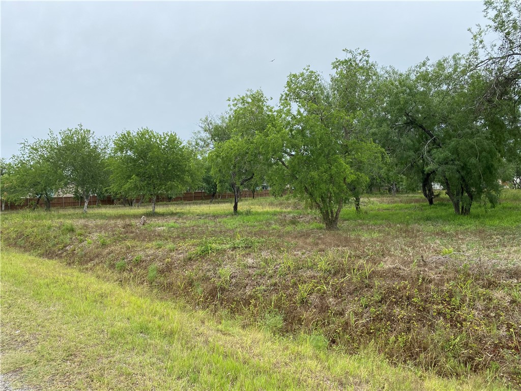 a view of outdoor space with trees all around