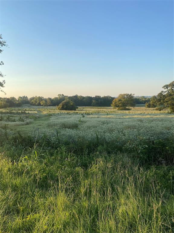 a view of a lush green field