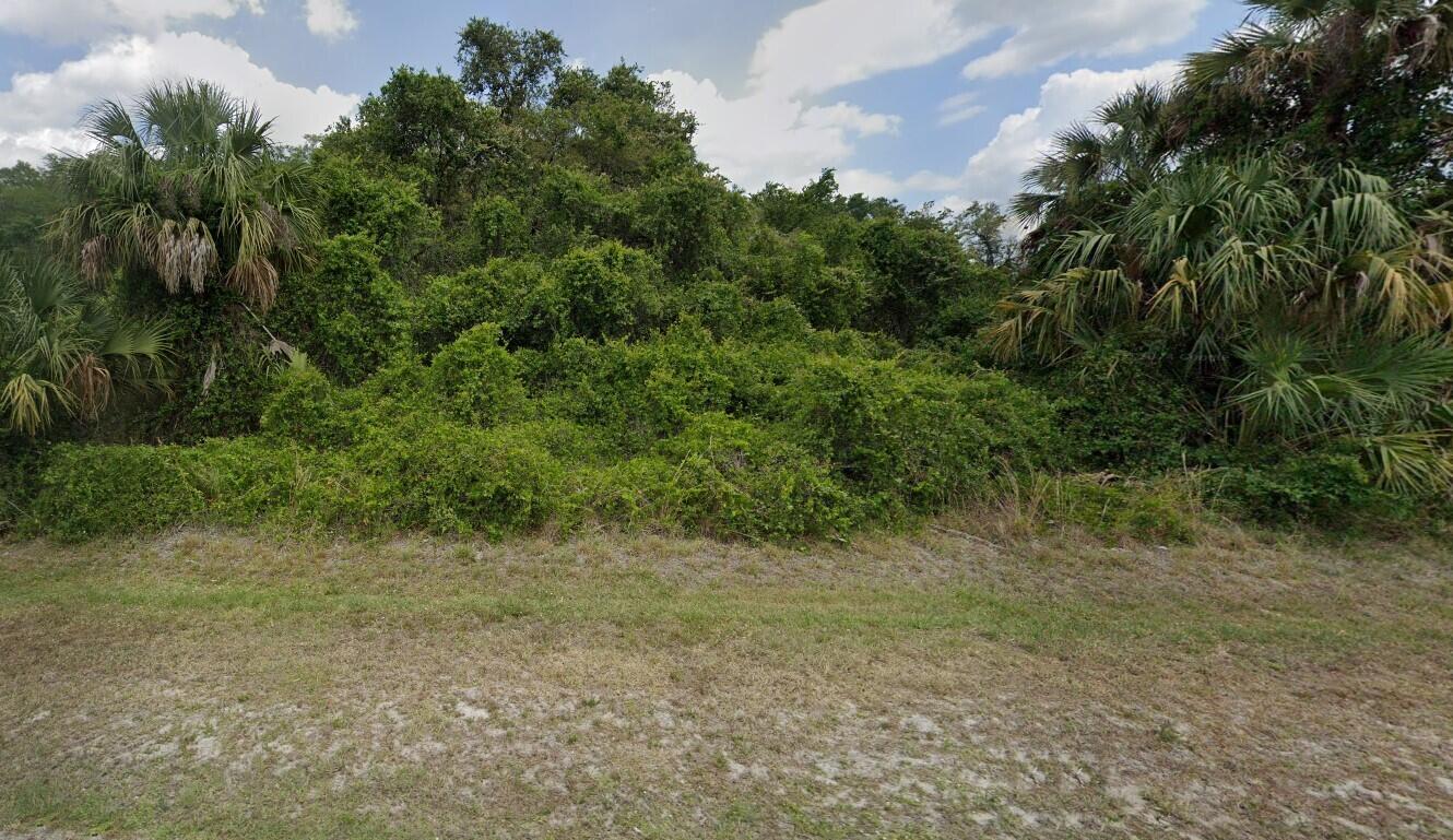 a view of a yard with a tree