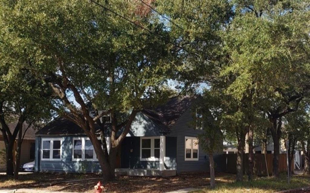 a tree in front of a brick building