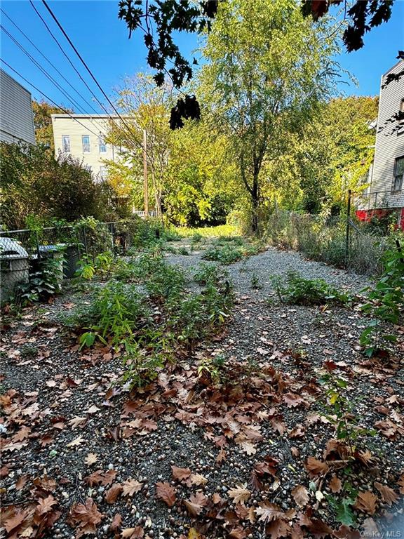 a view of a yard with plants